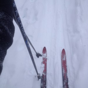 This girl's best friends. 